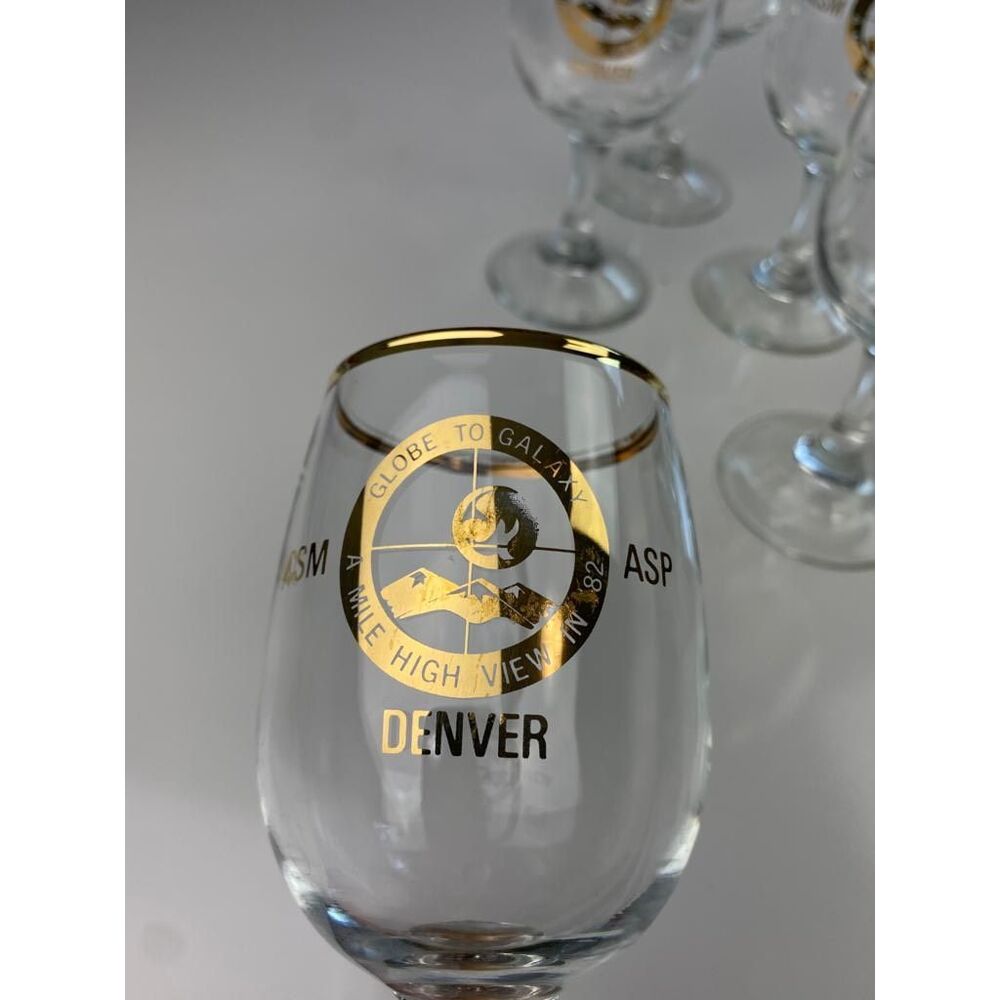 Vtg ACSM ASP Globe to Galaxy Surveying Mapping Denver Souvenir Wine Glasses (5)
